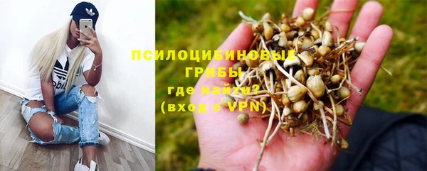 прущая мука Алексин